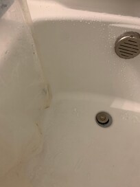 Mold on shower liner