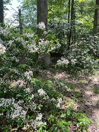 Trail head at Colton Point Park