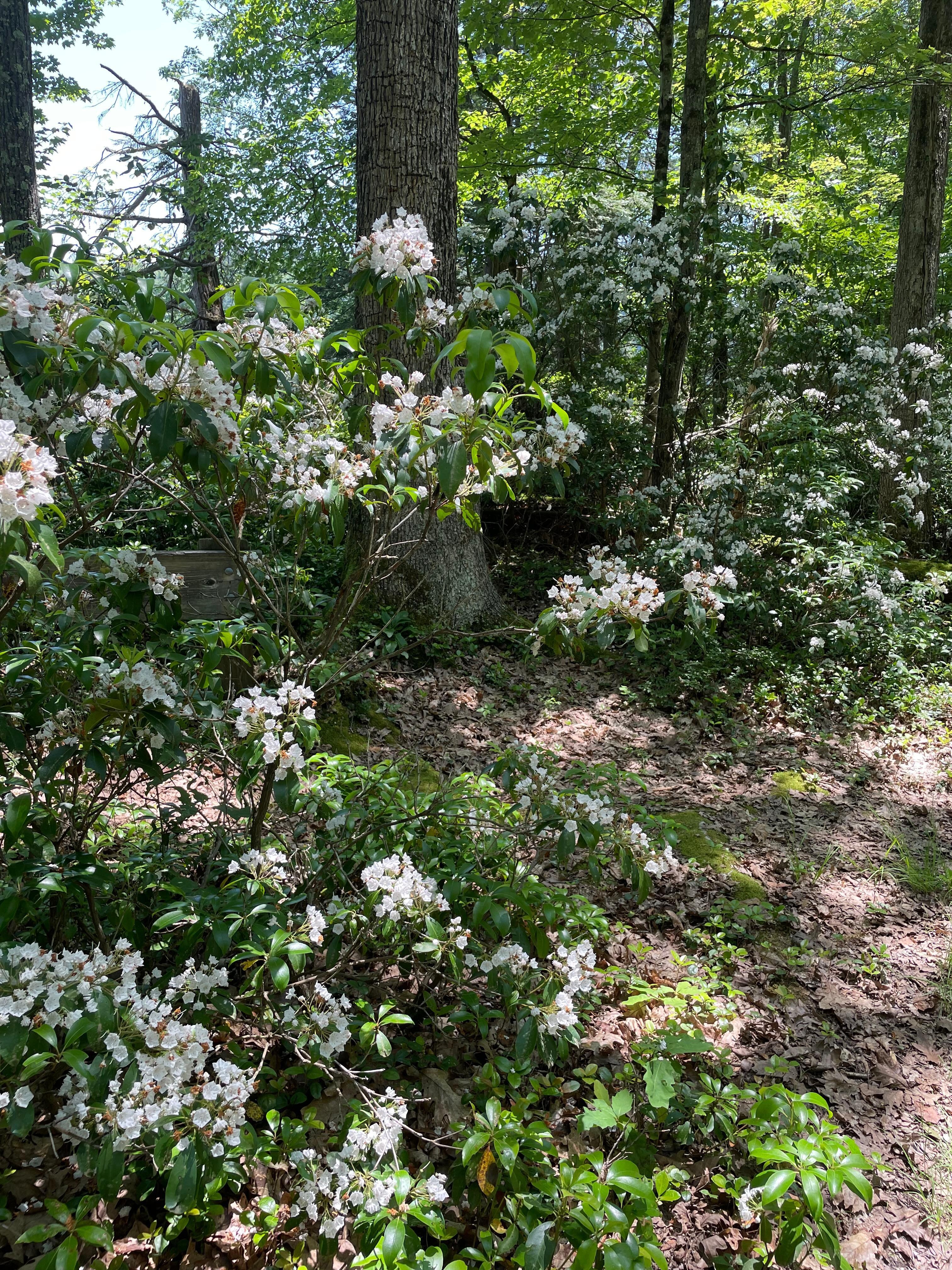 Trail head at Colton Point Park