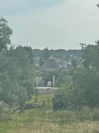 The view to the back of the Trullo from the olive fields