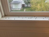 window sill bathroom