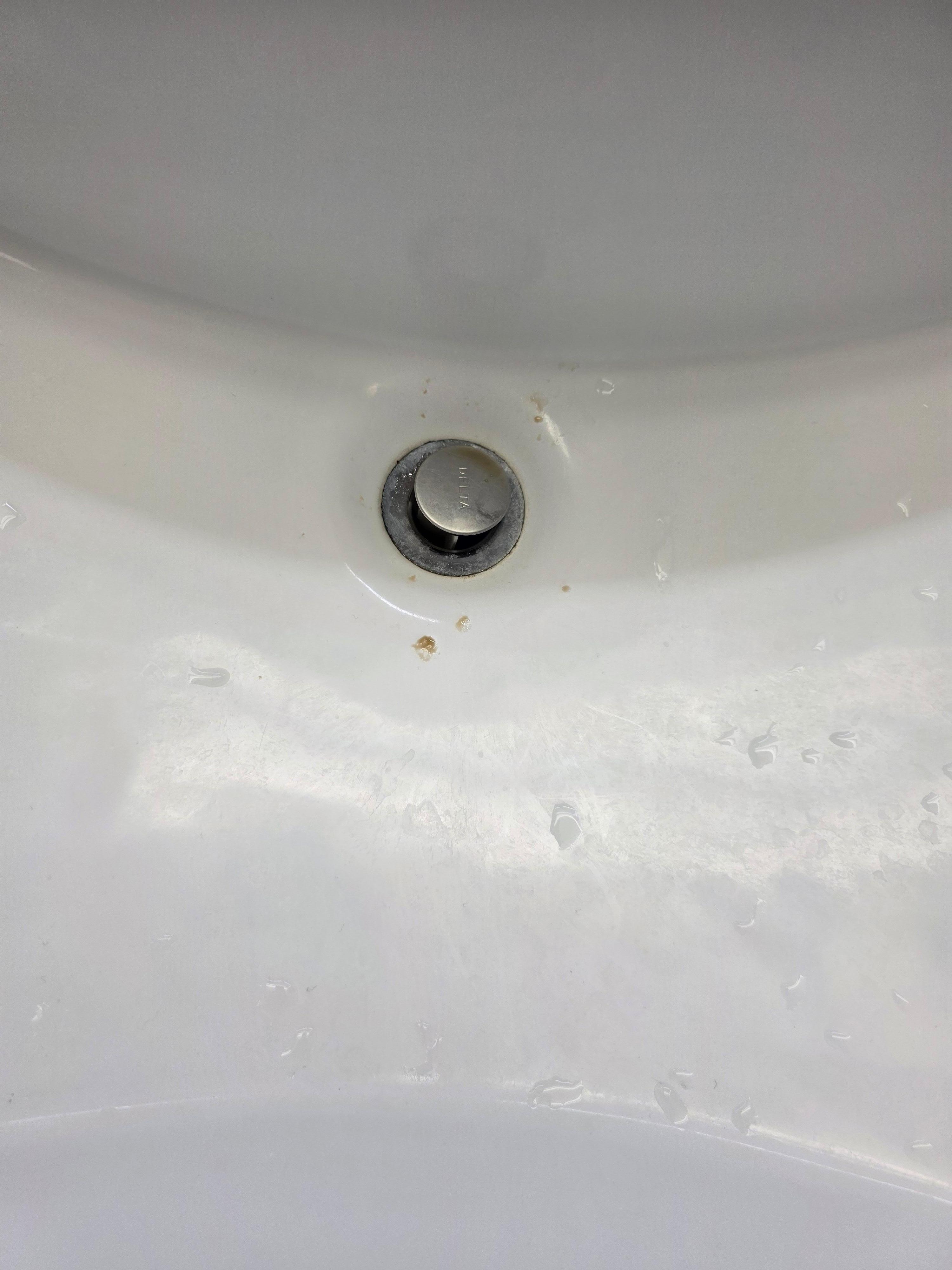 Slow drain and gnats flying in the restroom into the bedroom