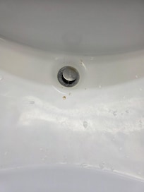 Slow drain and gnats flying in the restroom into the bedroom