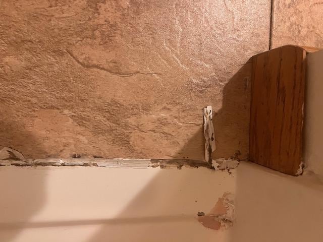mold in shower