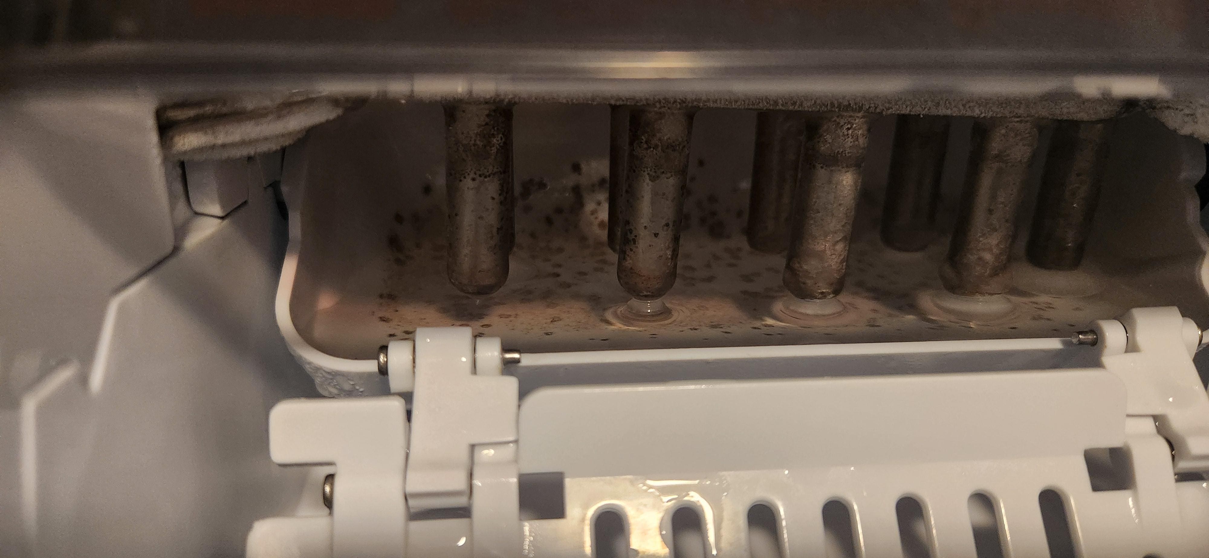 Mold in ice machine