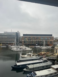 View of marina from hotel window