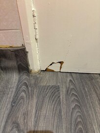 Door of bathroom scrapes on vinyl floor and had been broken.
