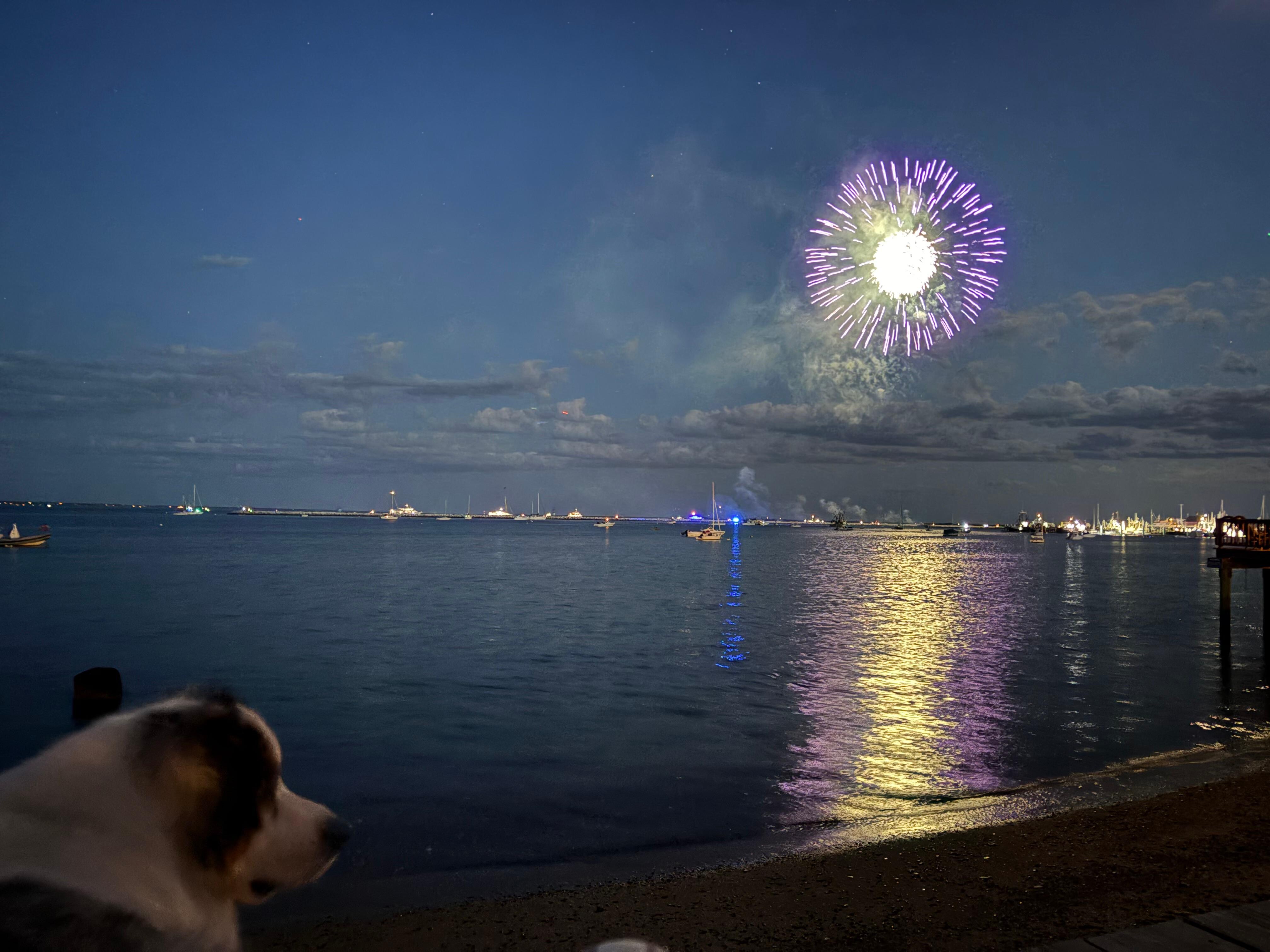 We enjoyed watching the fireworks with our dogs and our host