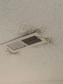 Mold on ceiling