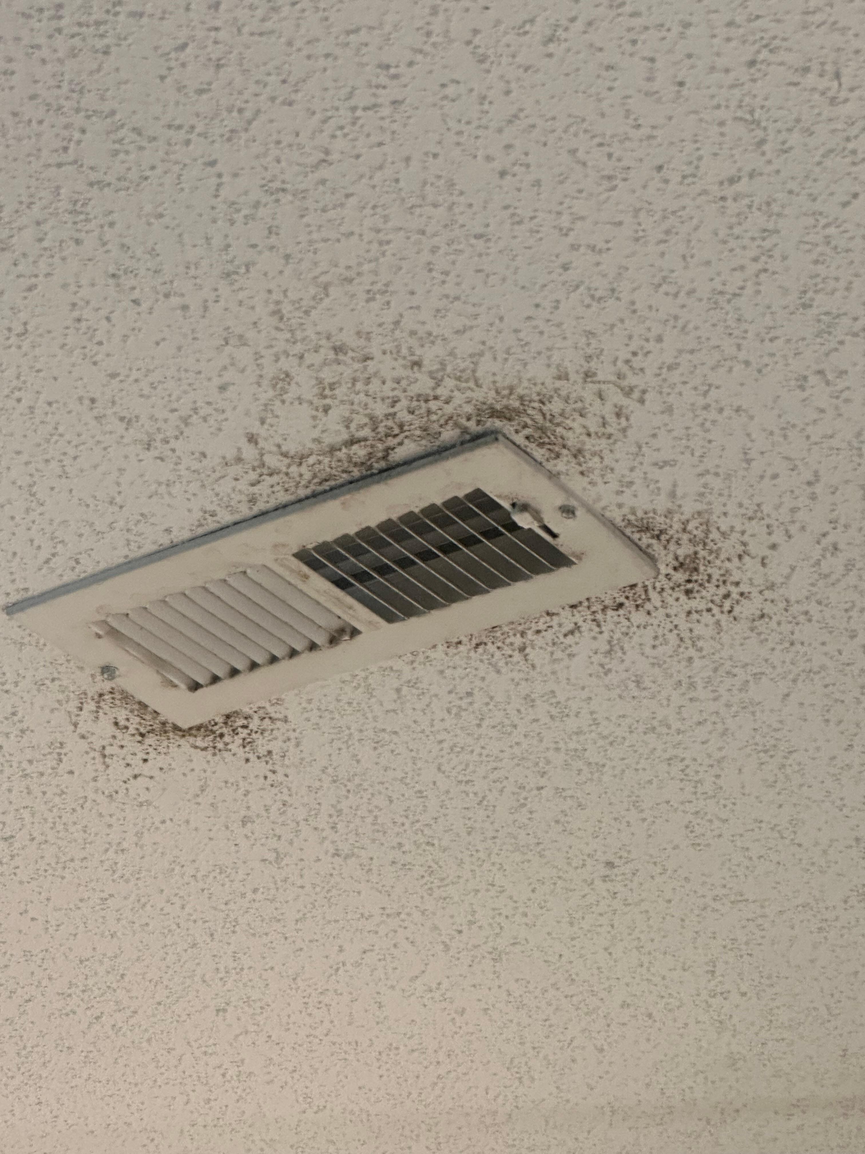 Mold on ceiling