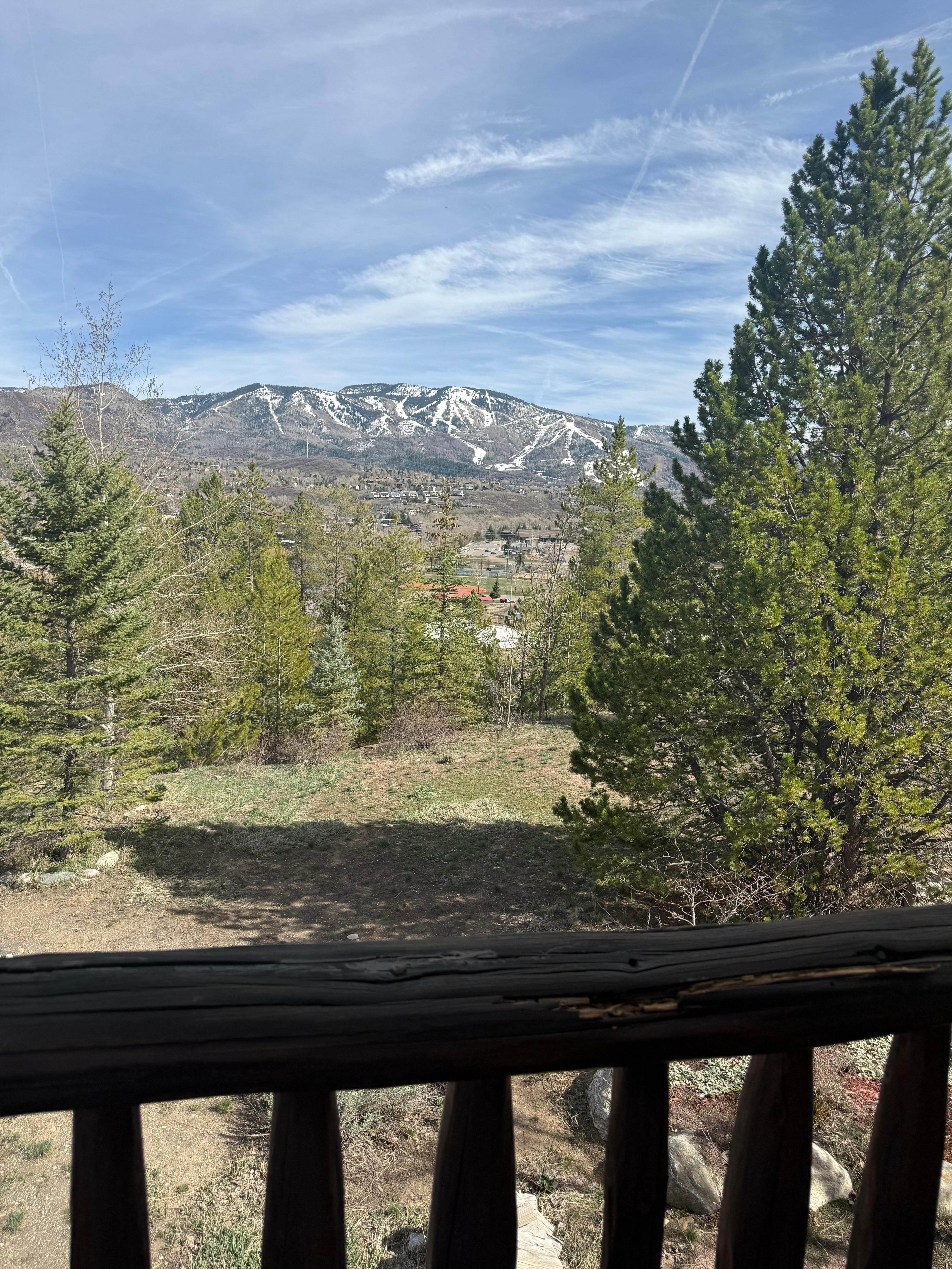 View towards the town. 