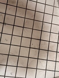 Floor in the bathroom was disgusting.