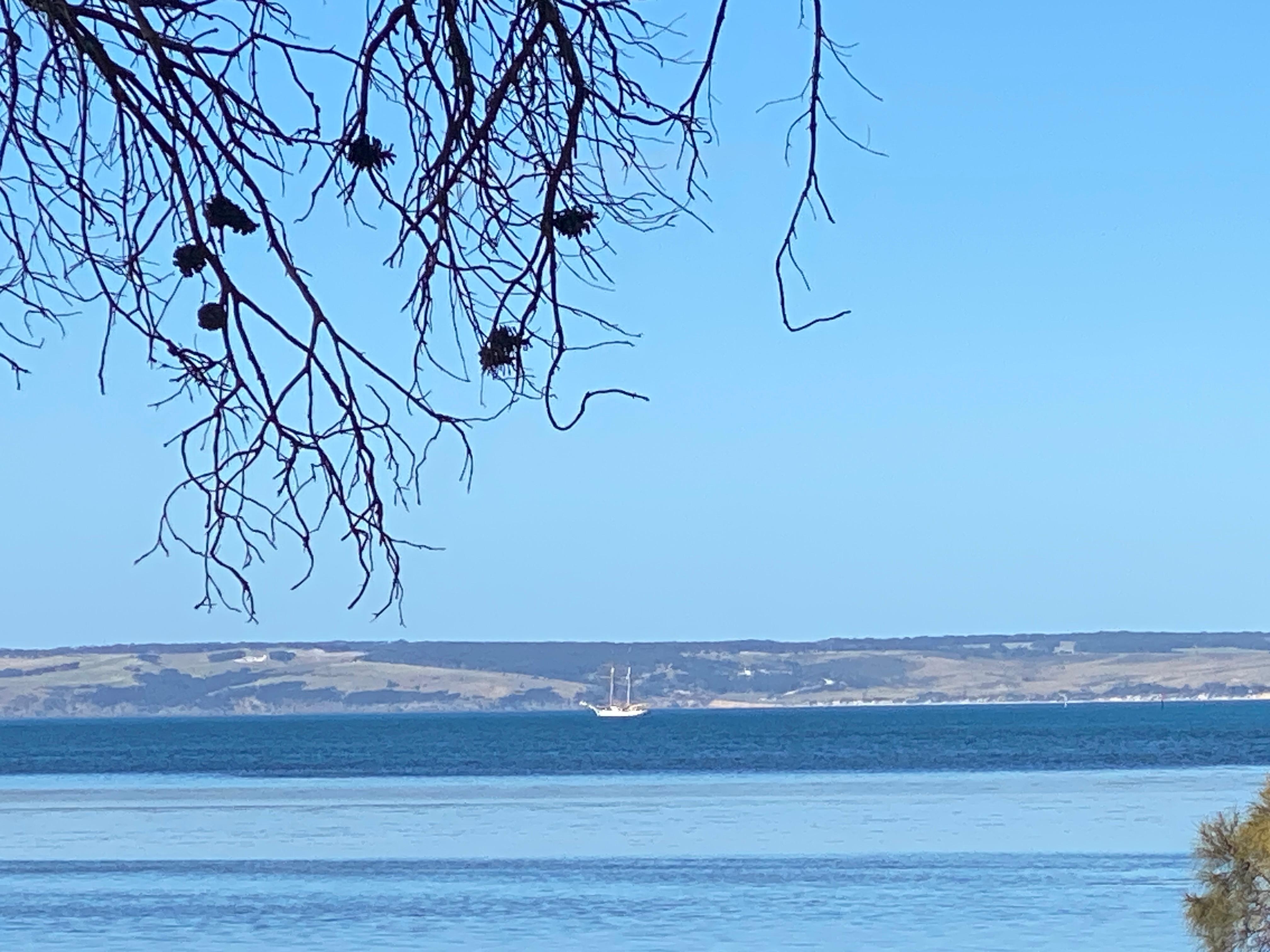 View from the front porch.