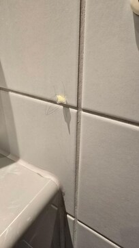 浴室清潔度不佳,有毛髮
