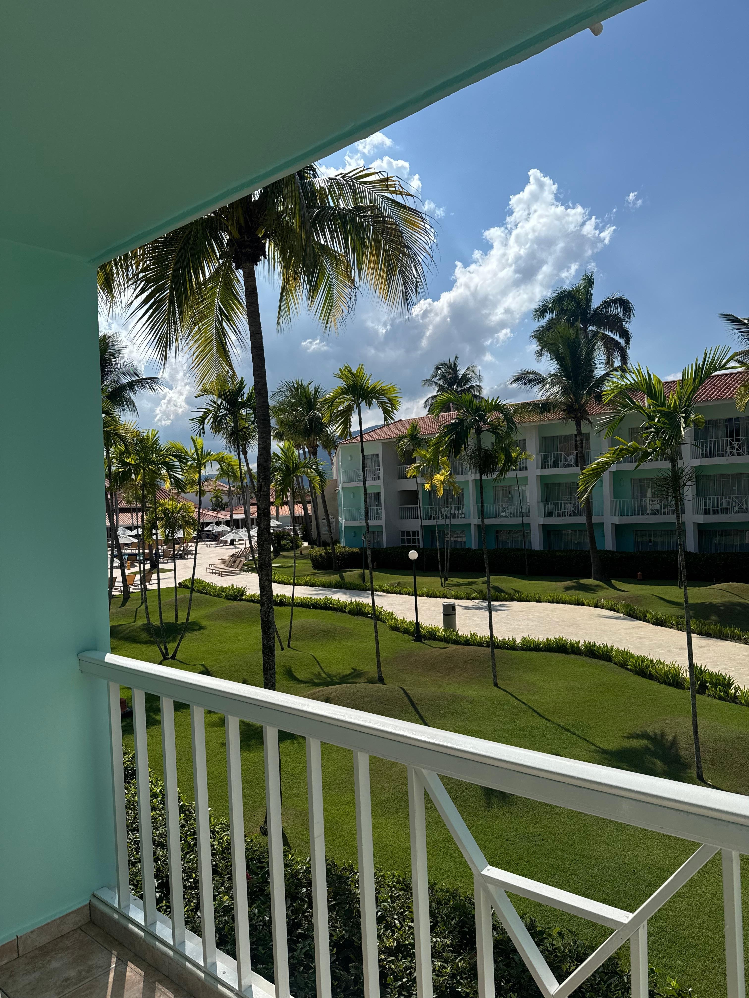 View from my Room 🌴