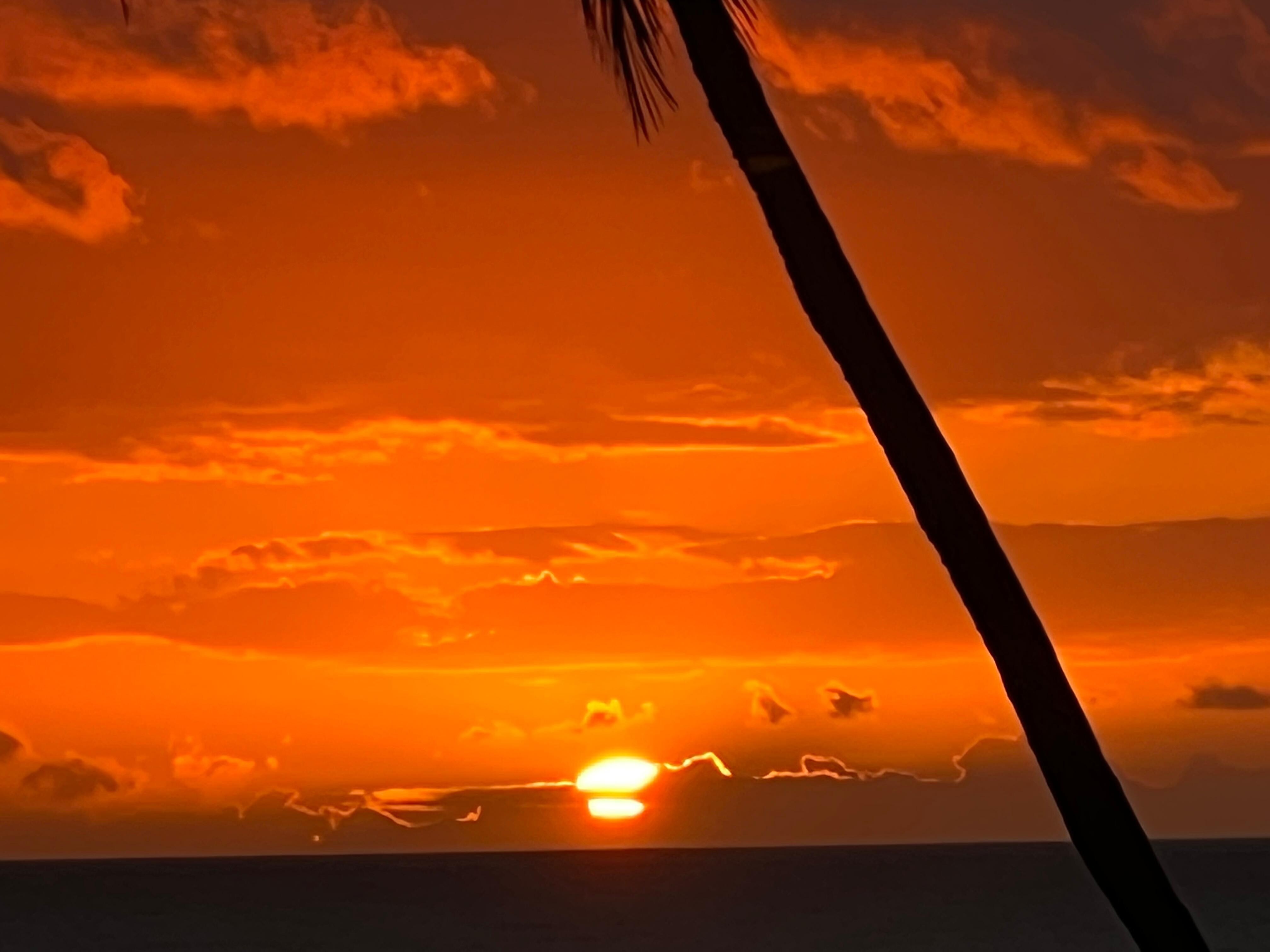 Gorgeous sunsets