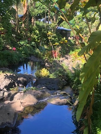 View of our cabin in the distance from sitting on a rock with my feet in the water. Idyllic!