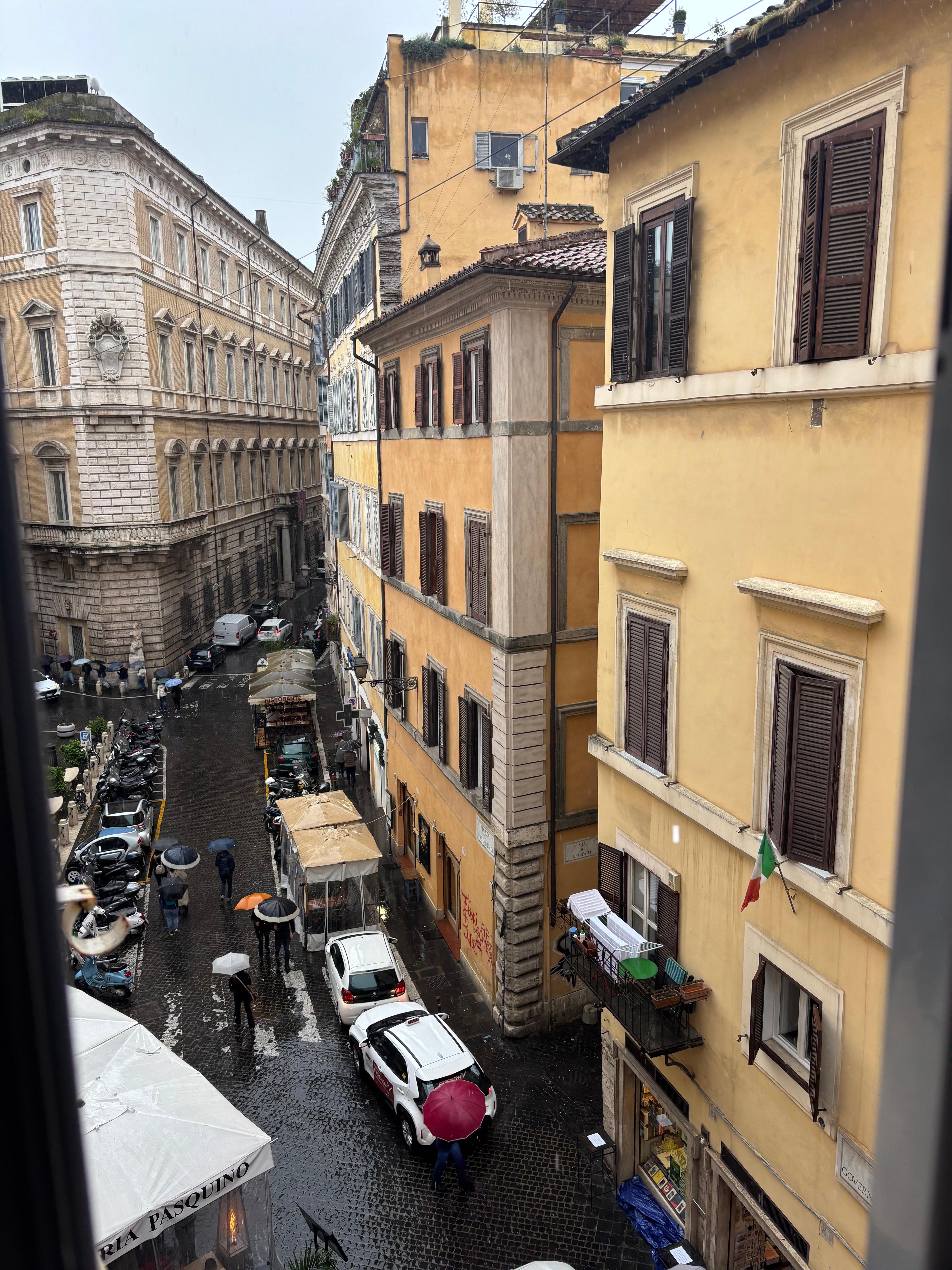 View from the window