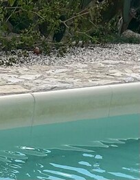 The pool edge.