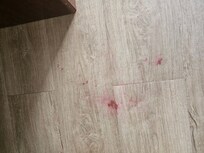 Dirty and stained floor