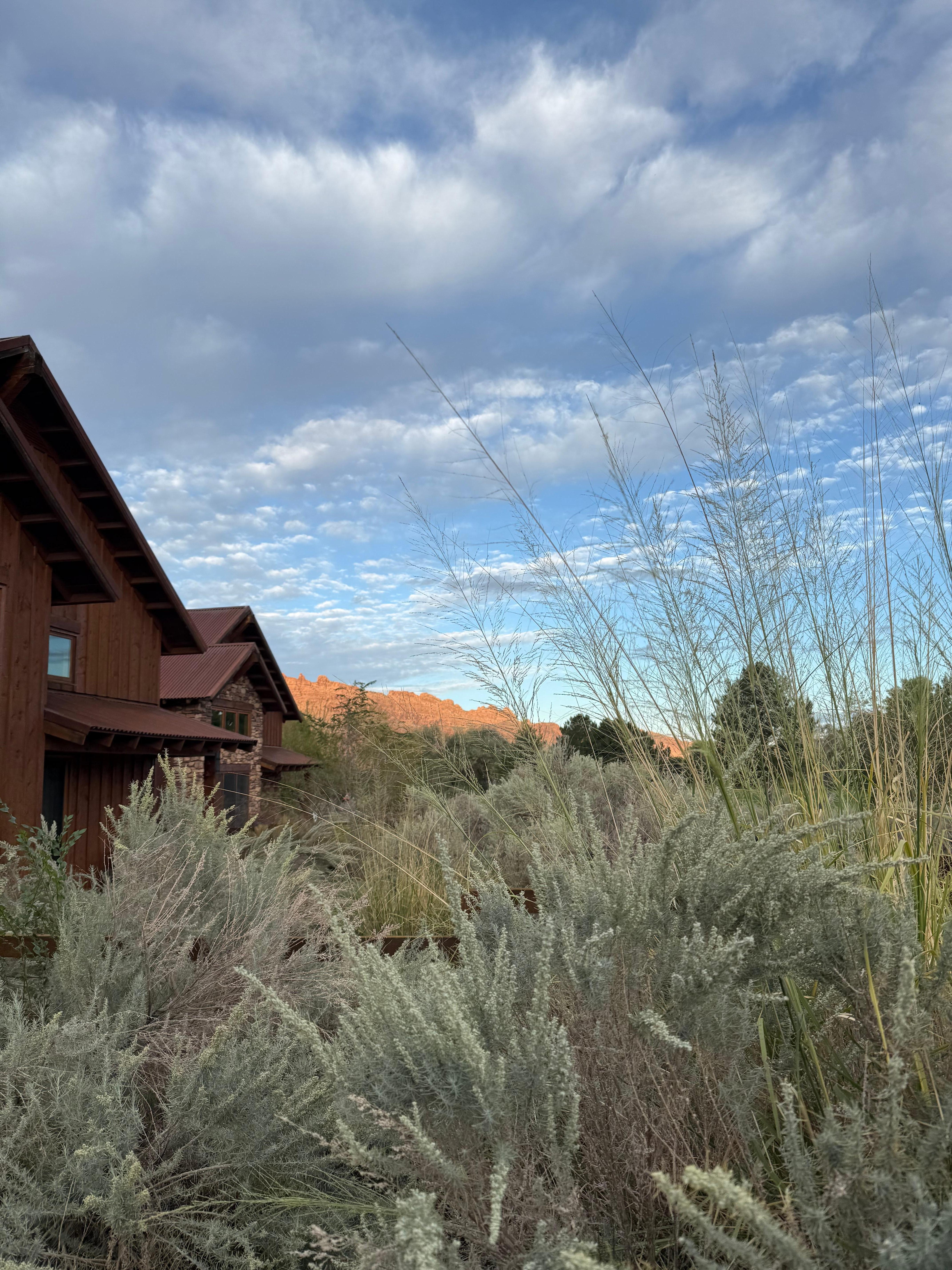 Taken from the back porch 