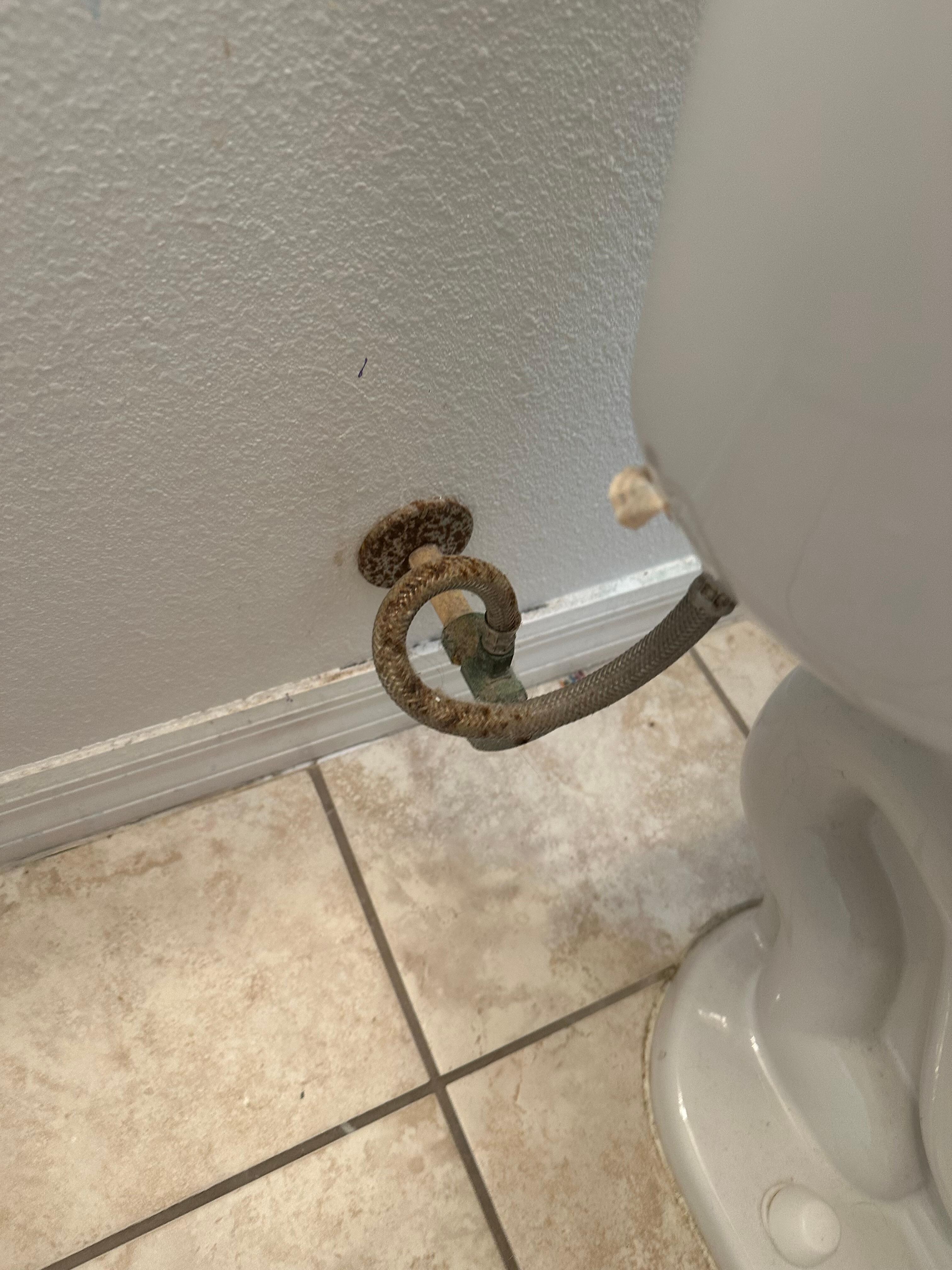 Mold behind the toilet 