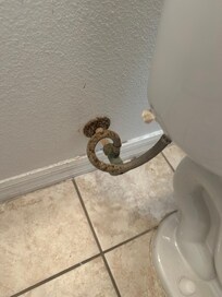 Mold behind the toilet