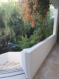 Trees right outside the room.