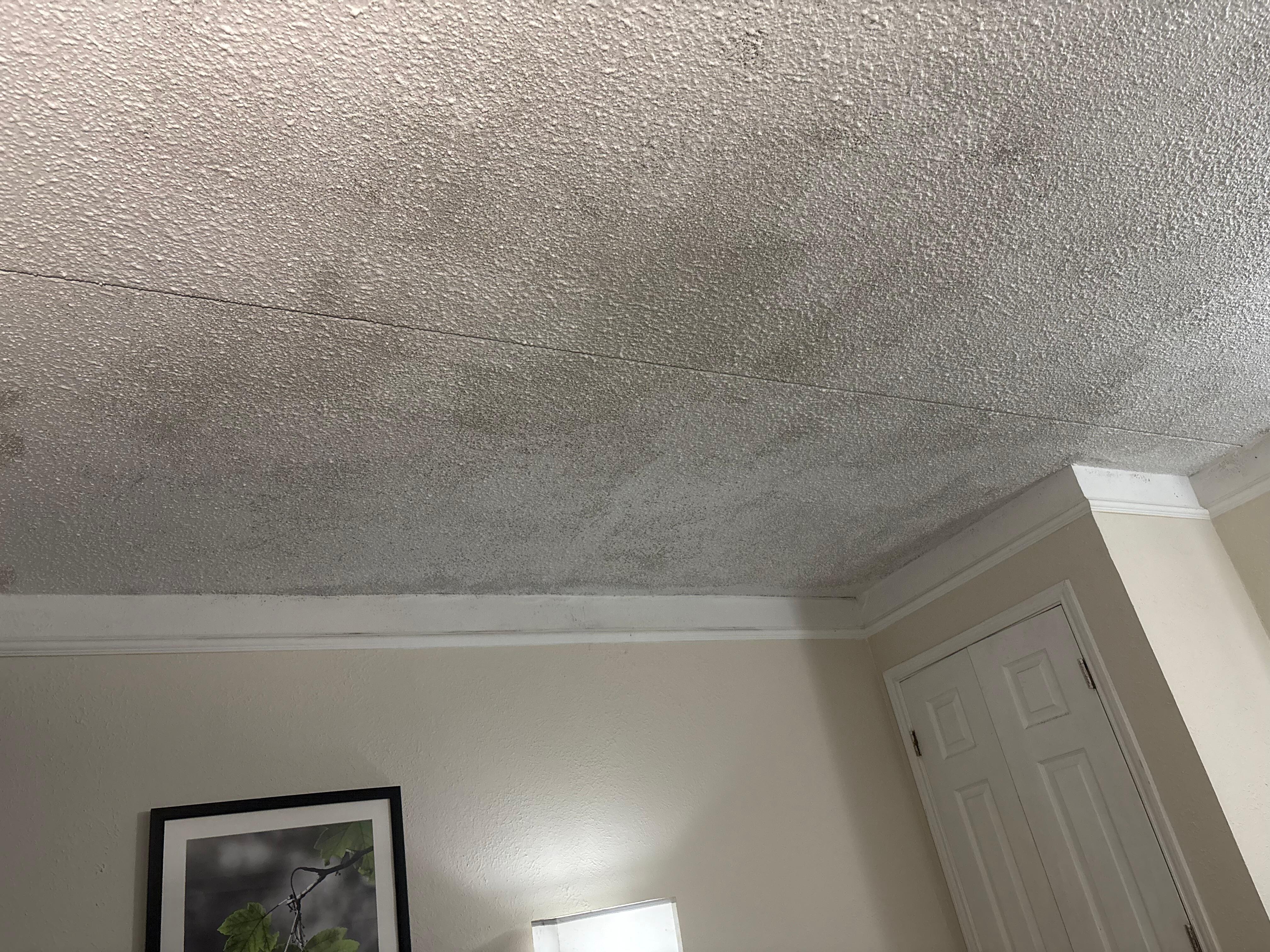 Black mold on ceiling 