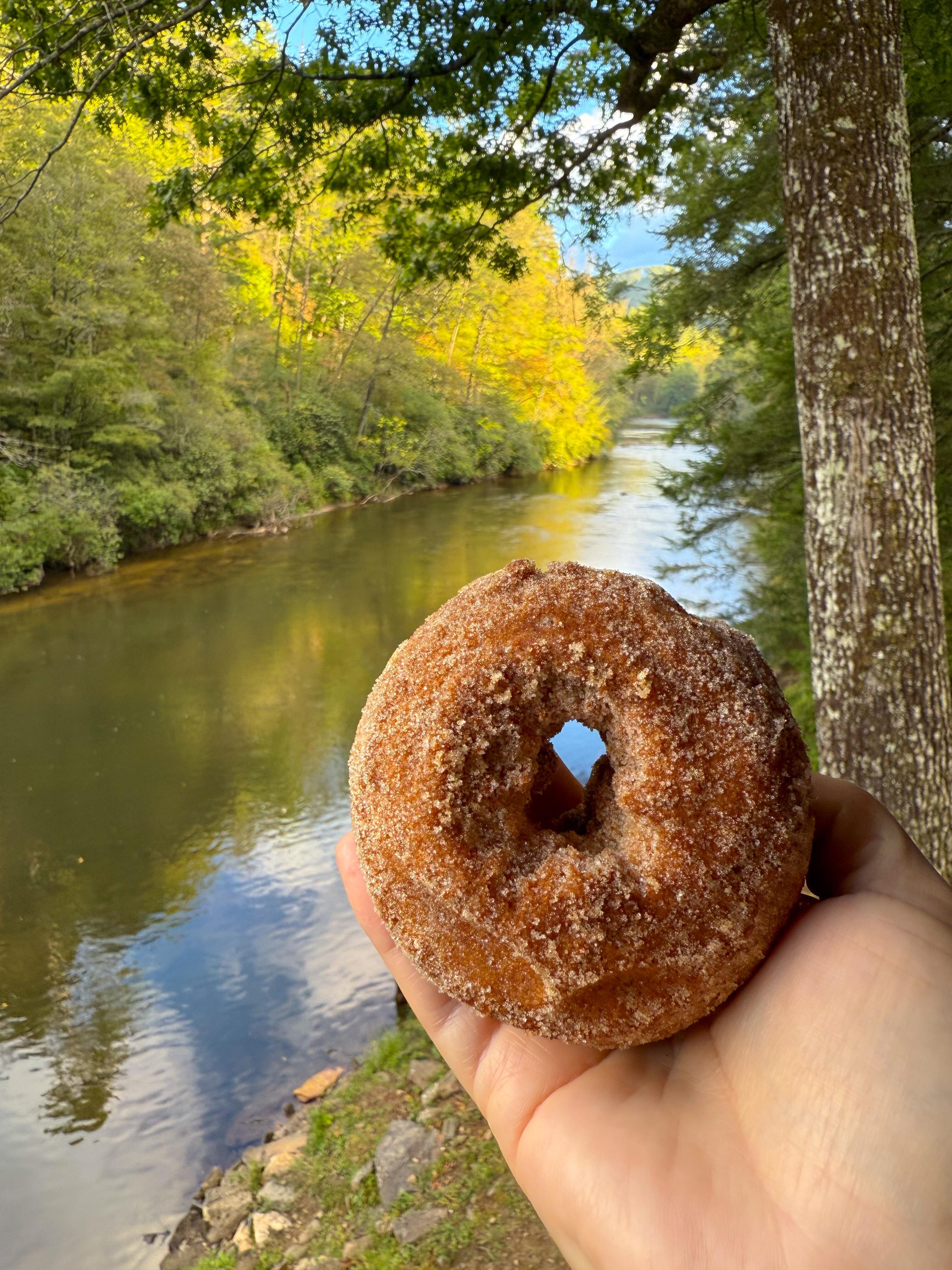 The best apple cider donuts are at Mercier Orchard.