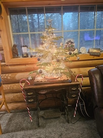 Real live christmas tree.