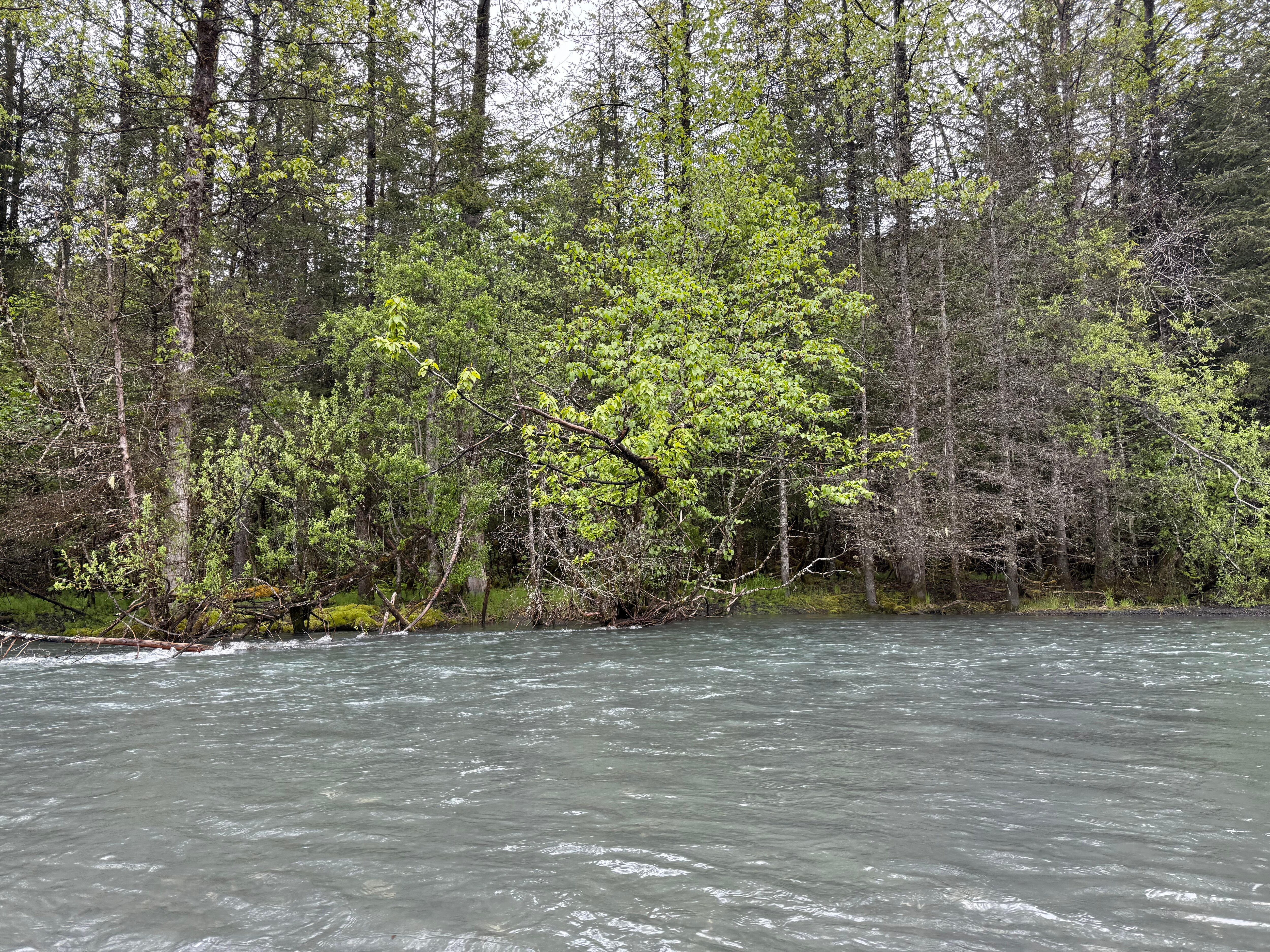 More river views