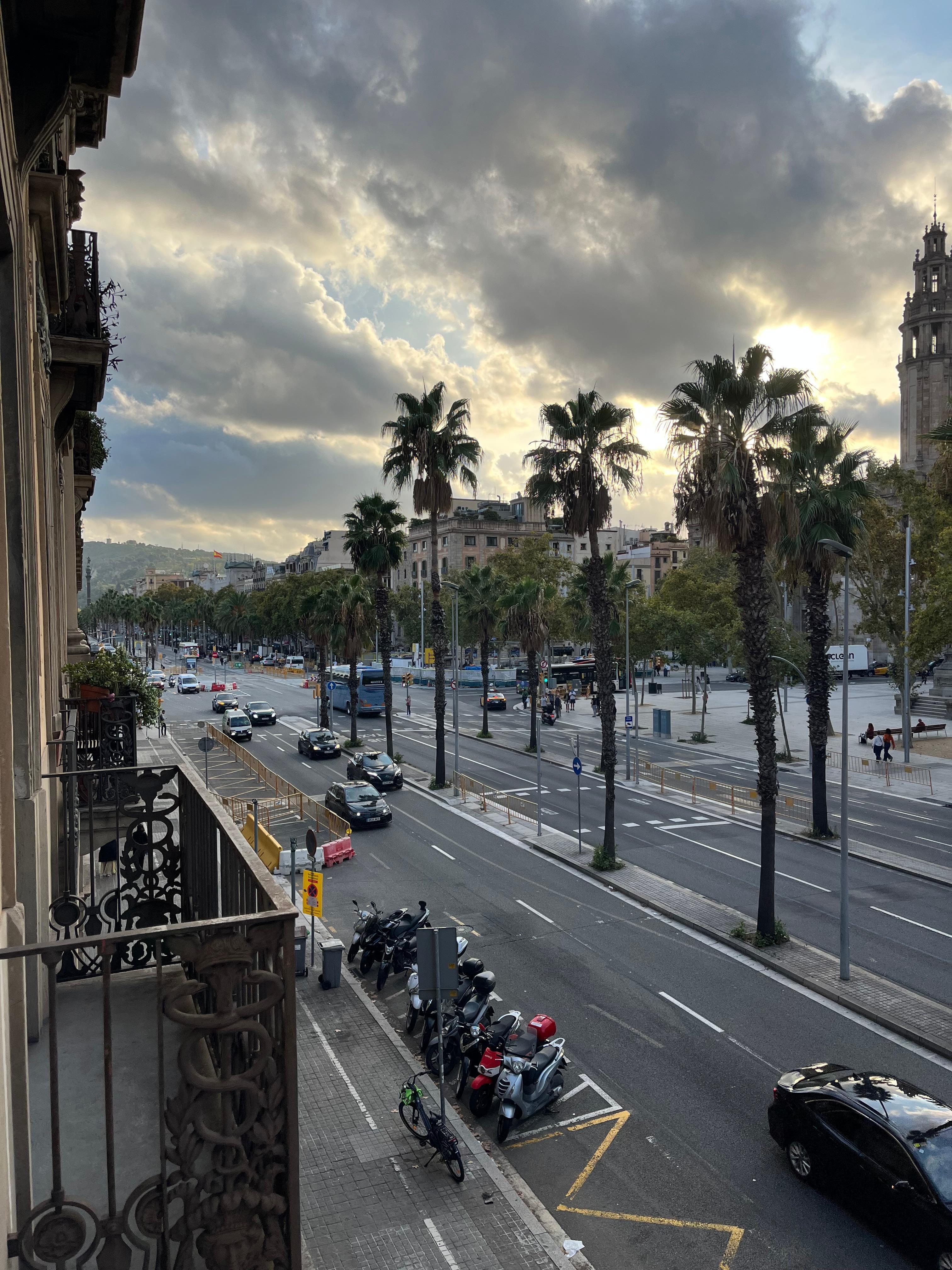 Early AM off front balcony.