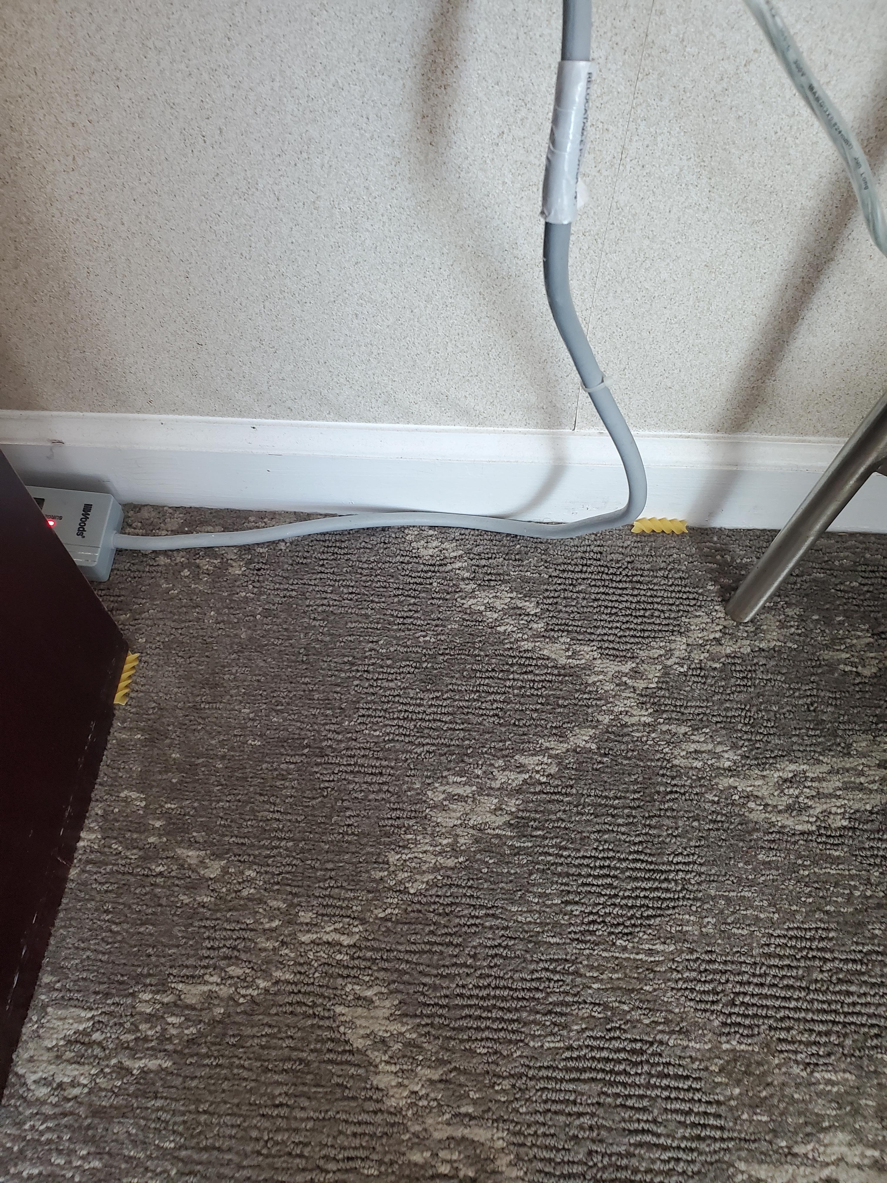 Food from previous occupant on floor
