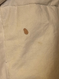 Stained bedding