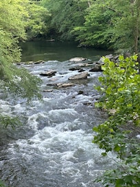 View of river from the deck.