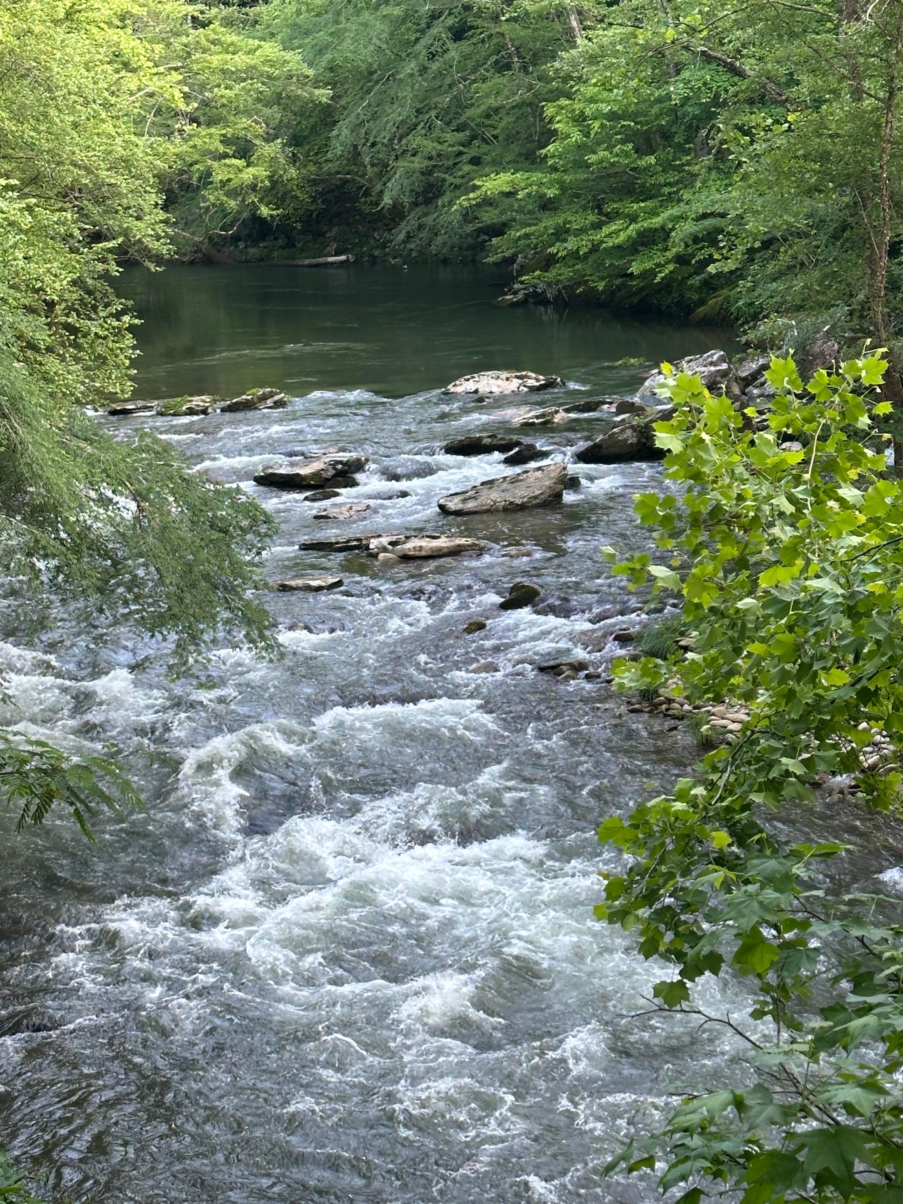 View of river from the deck.