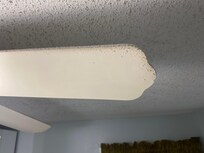 This was the cleanest ceiling fan in the property.