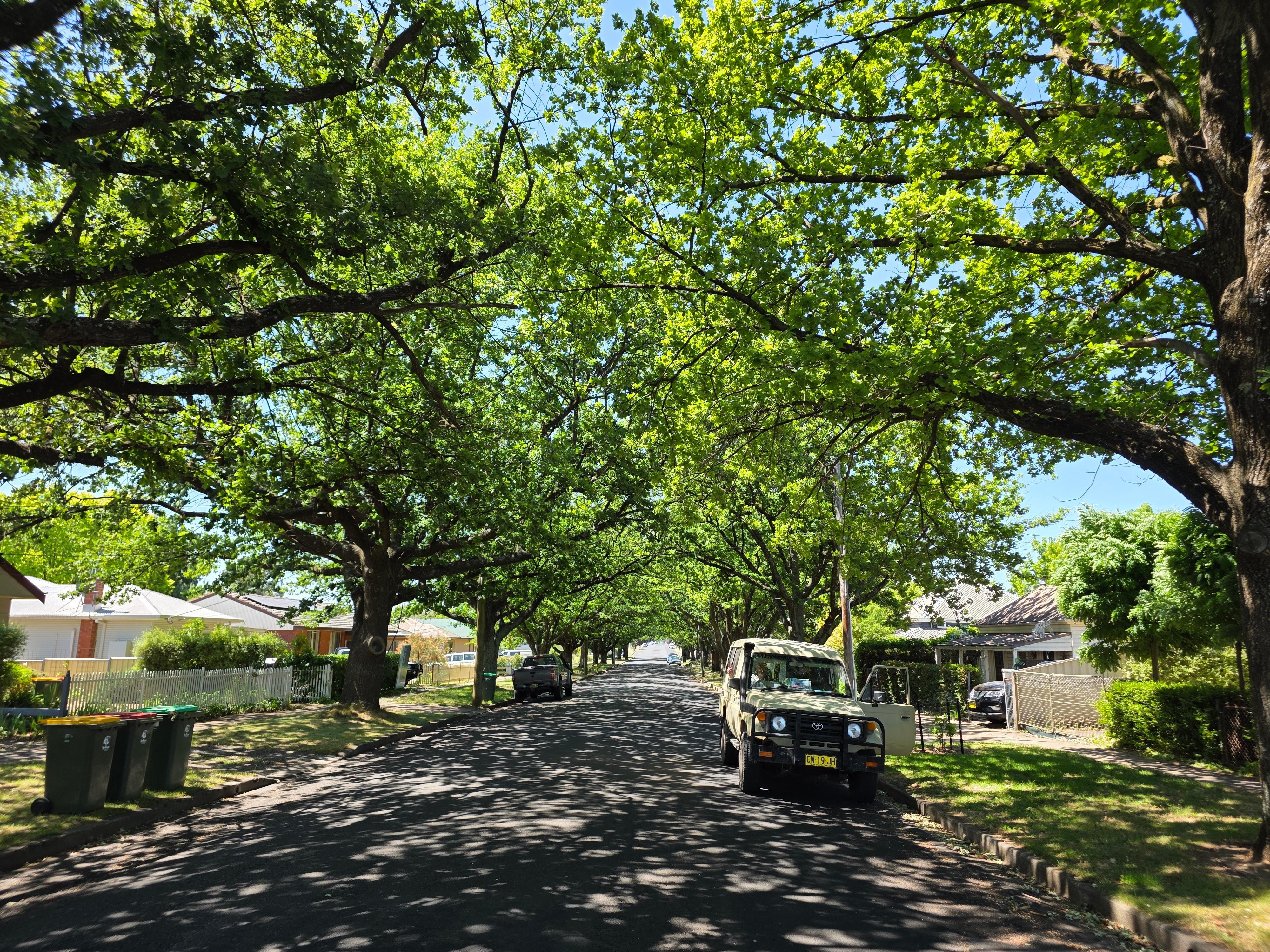 Orange has beautiful trees 