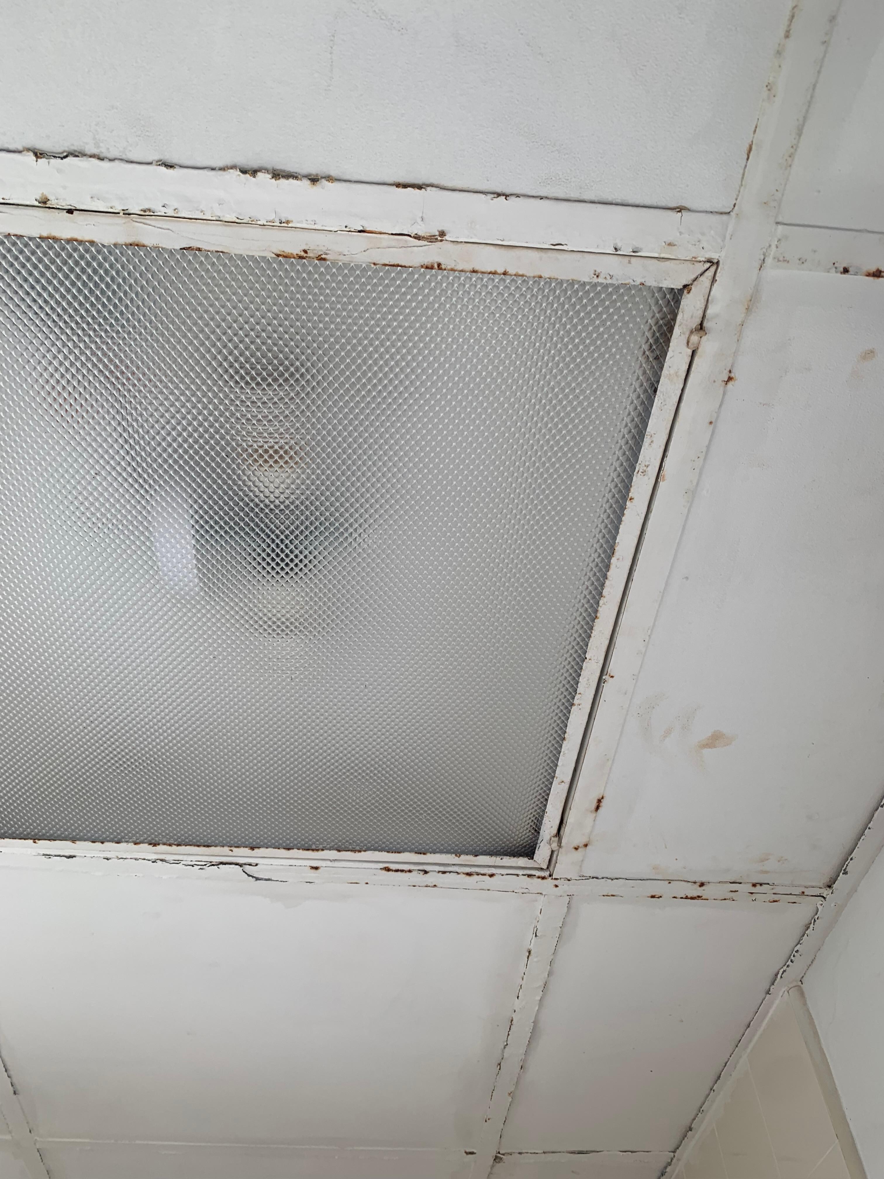 Rusted ceiling fixture 