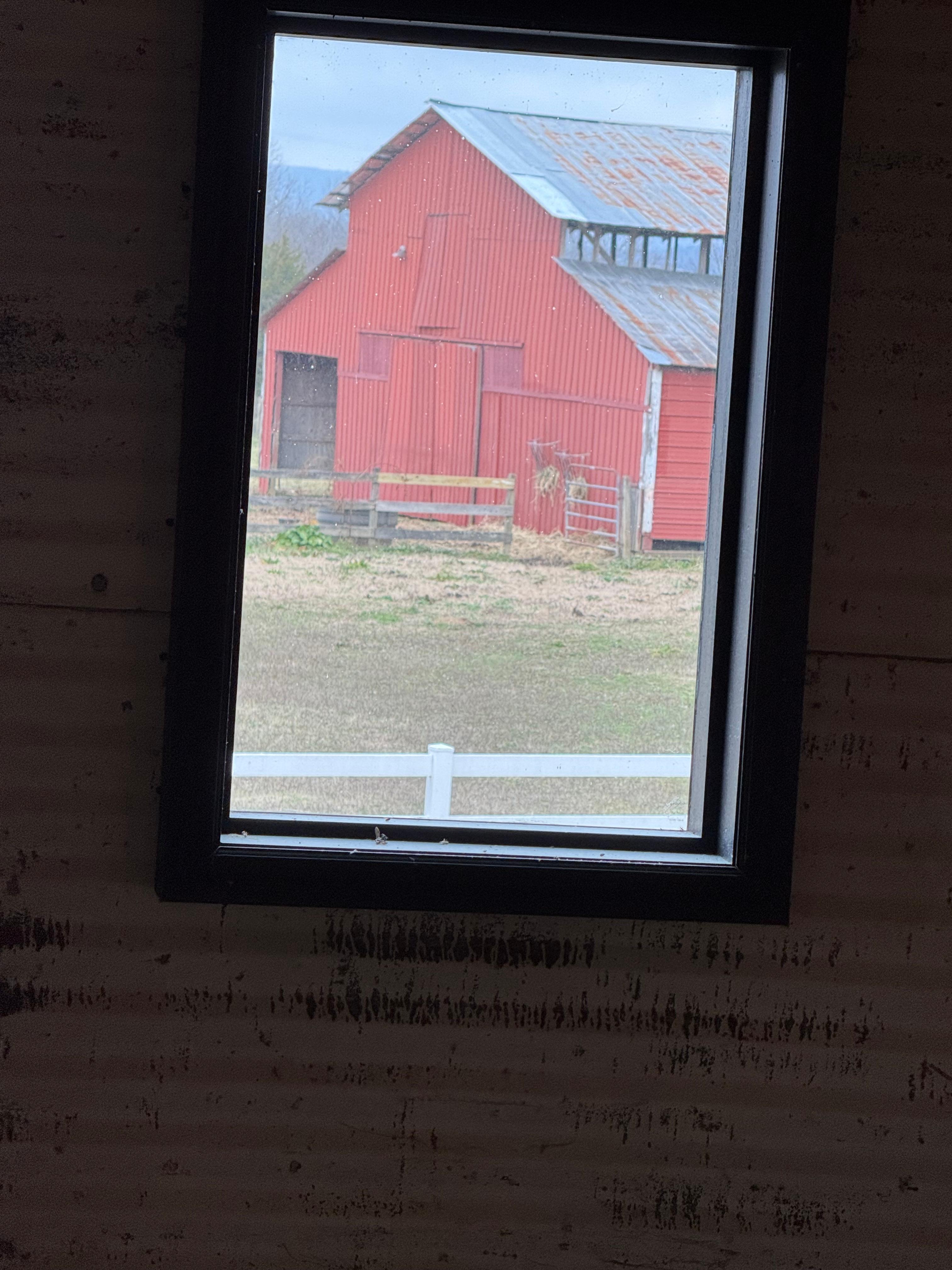 View out one of the windows. 