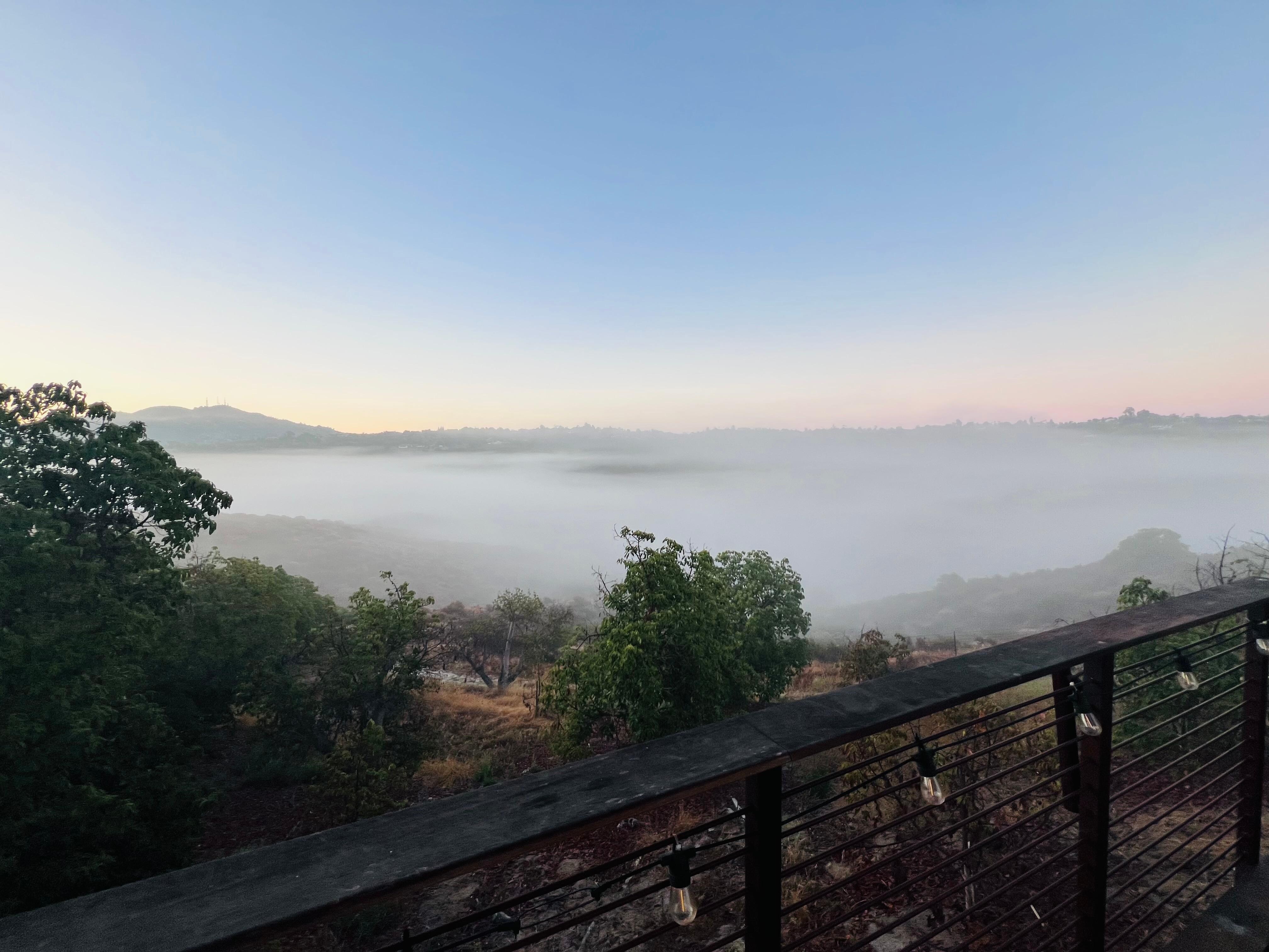 Early morning