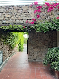 Neighborhood stroll views.