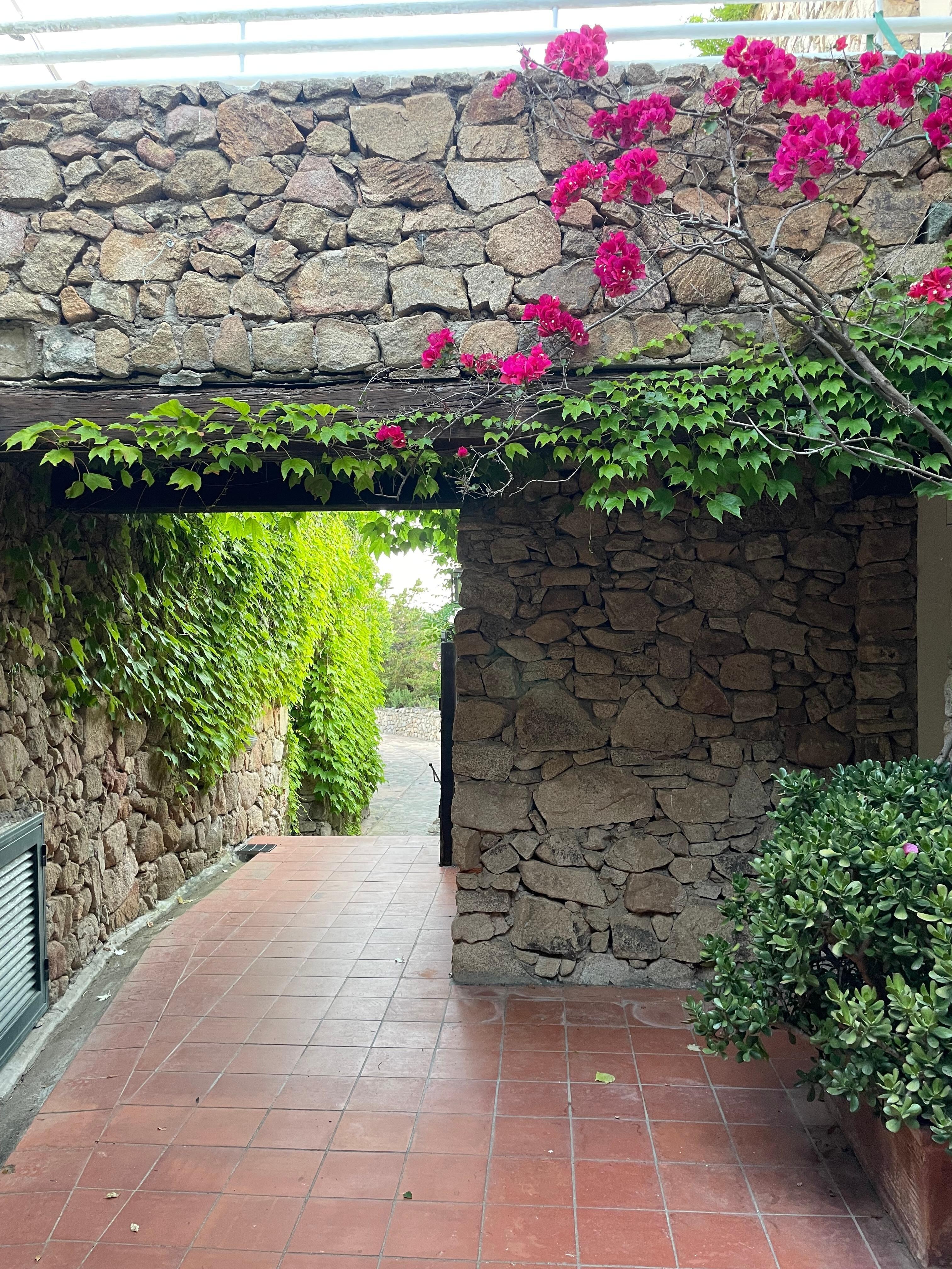 Neighborhood stroll views.
