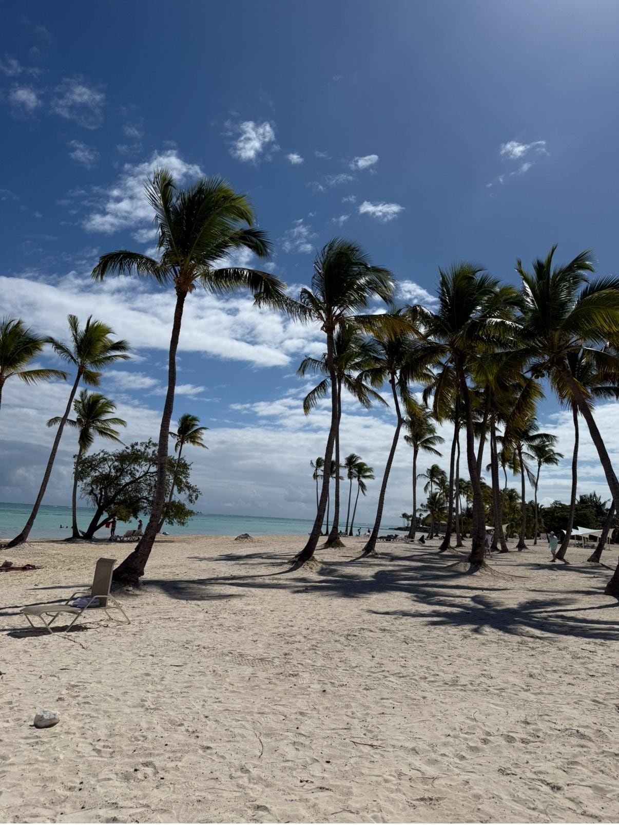 Although the resort itself is located on the marina, The resort provides regularly scheduled shuttles to the beach on CapCana