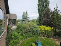 View from the back patio.