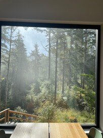 Stunning views and sunlight