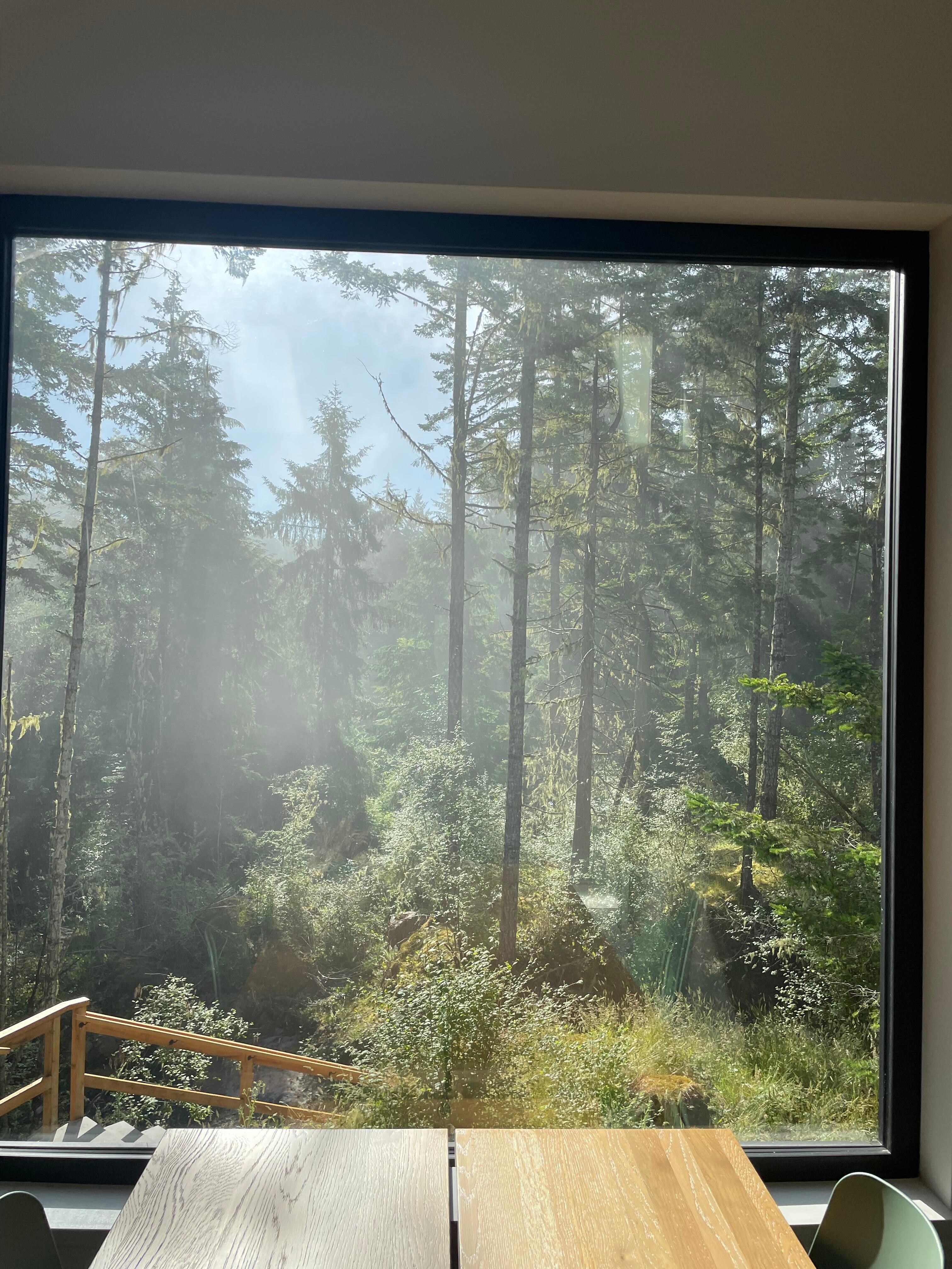 Stunning views and sunlight