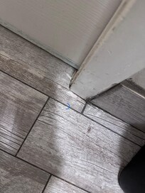 Bathroom floor not swepts