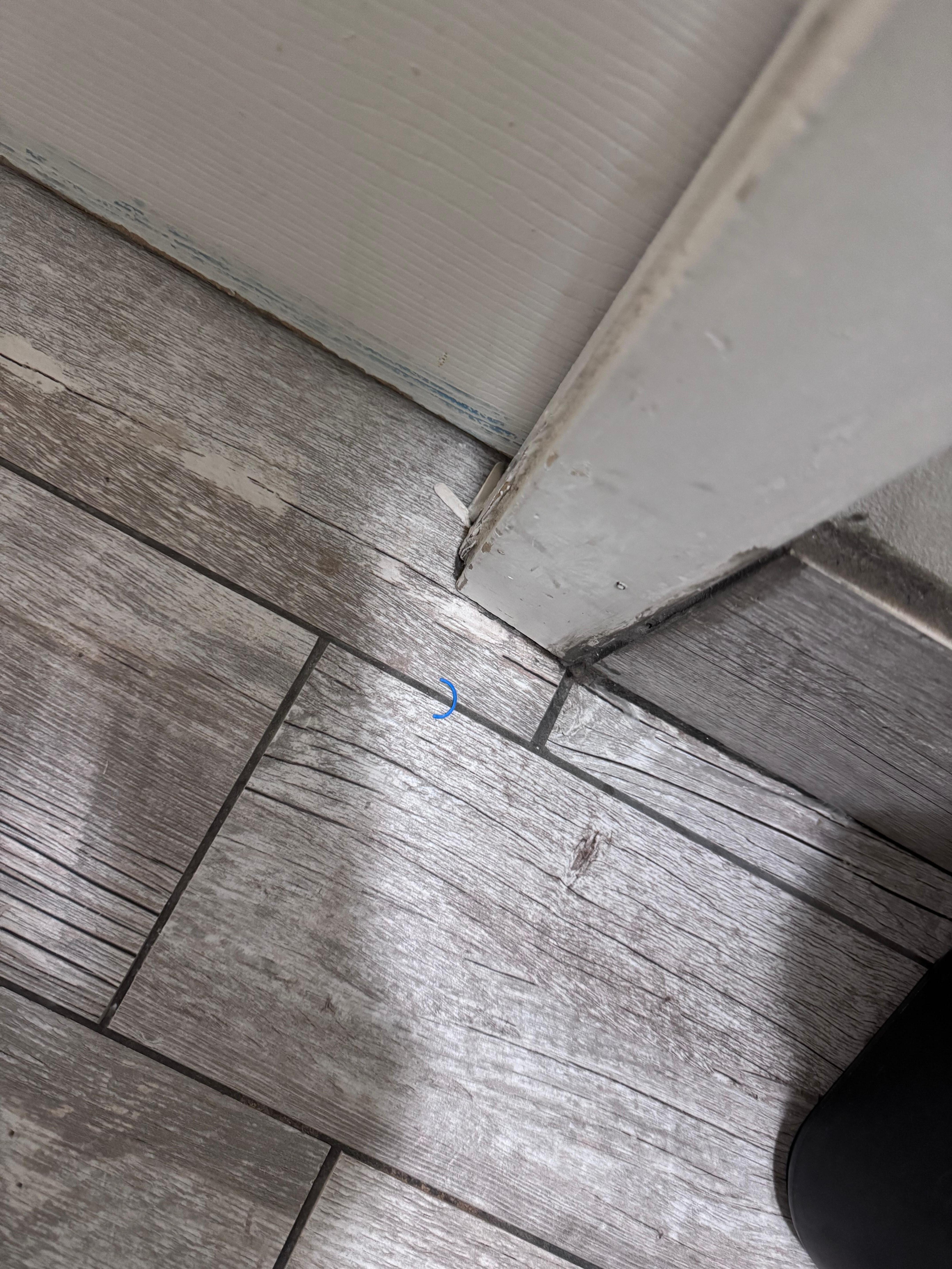 Bathroom floor not swepts